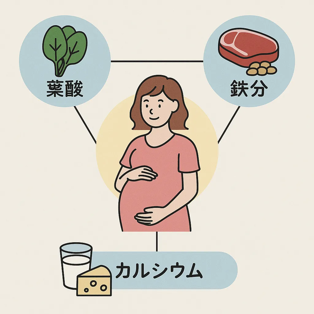 妊婦にやさしい栄養の関係図